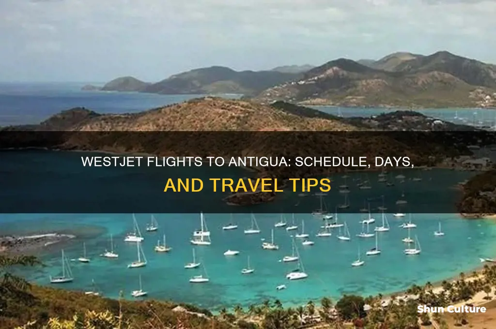 what days does westjet fly to antigua