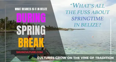 Belize's Spring Break Weather: Sunny Degrees and Beach Vibes