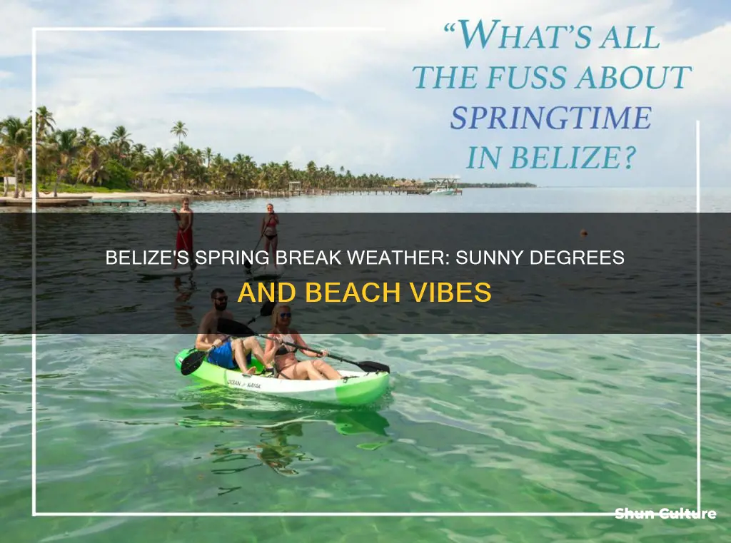 what degrees is it in belize during spring break