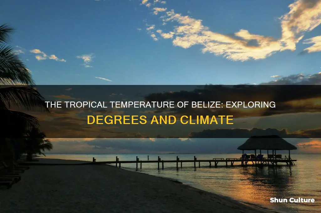 what degrees is it in belize