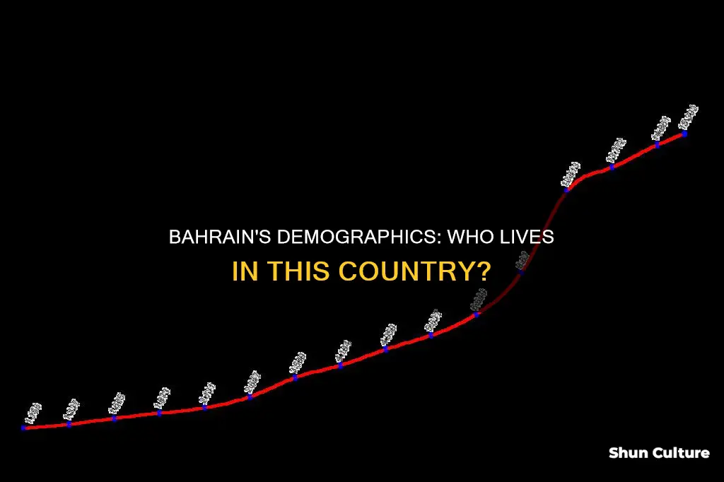 what demographic is in bahrain