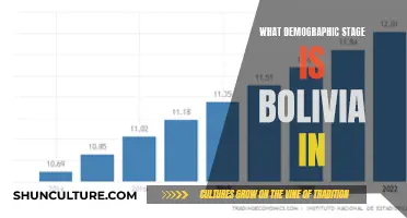 Exploring Bolivia's Demographic Transition: Insights and Implications