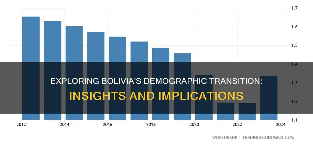 what demographic stage is bolivia in