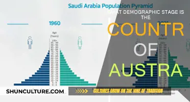 Australia's Demographic Stage: An Aging Population's Challenges