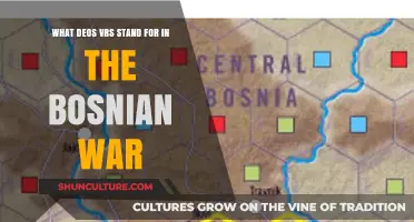 Unraveling VRS: Understanding Its Role in the Bosnian War Conflict