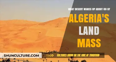 Algeria's Sahara: The Vast Desert Dominating 80% of Its Land