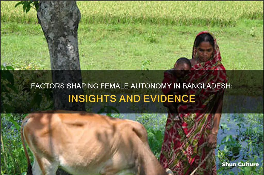 what determines female autonomy evidence from bangladesh