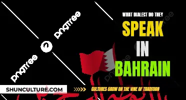 Bahrain's Language: Unraveling the Unique Dialect of Bahrain