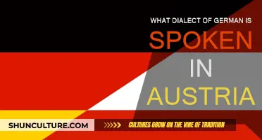 The Austrian German Dialect: How Unique Is It?