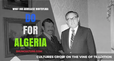 Abdelaziz Bouteflika's Legacy: Shaping Algeria's Modern Identity and Progress
