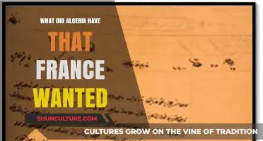 Algeria's Riches: France's Coveted Resources and Strategic Interests