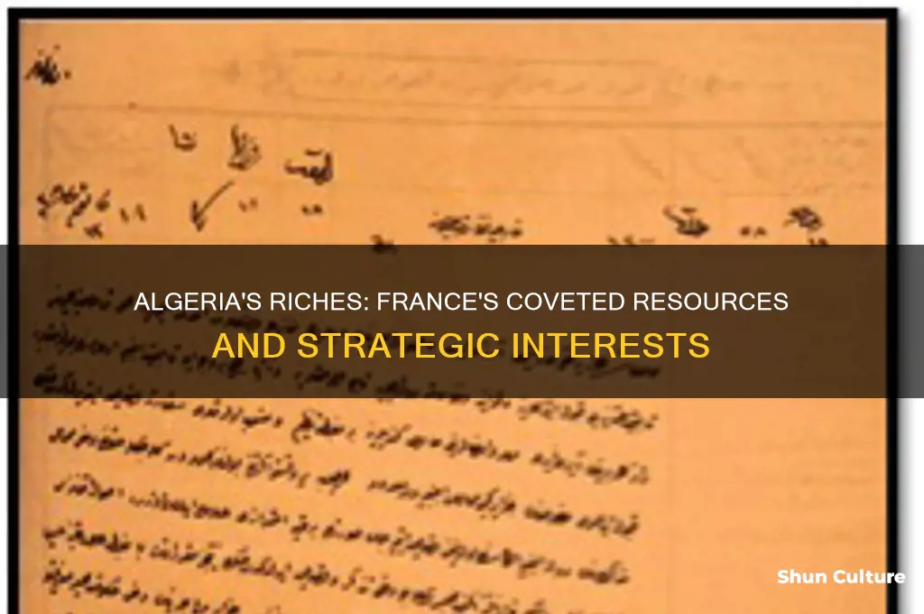 what did algeria have that france wanted