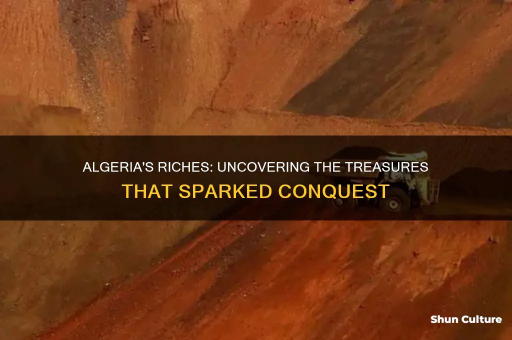 what did algeria have that was worth taking over