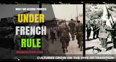 Algeria's Economic Output and Resource Exploitation Under French Colonial Rule