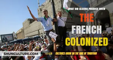 Algeria's Exploited Resources: French Colonization's Impact on Production