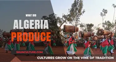 Algeria's Diverse Production: From Agriculture to Energy and Beyond