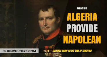 Algeria's Strategic Contributions to Napoleon's Empire: Unveiling Historical Ties