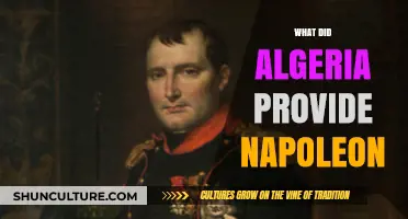 Algeria's Strategic Contributions to Napoleon's Empire: Unveiling Historical Ties
