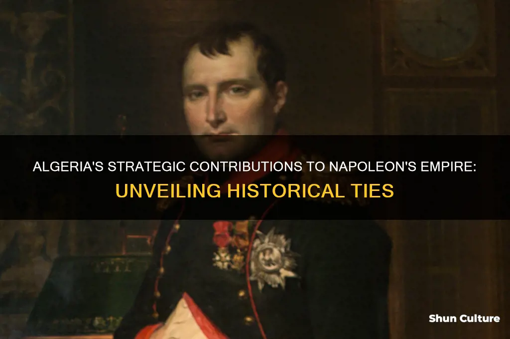 what did algeria provide napoleon