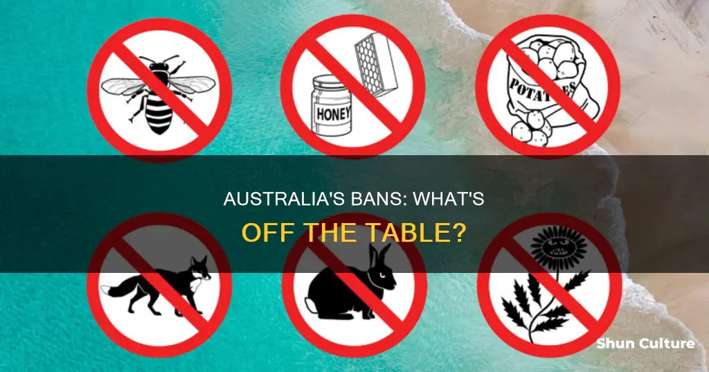 what did australia ban