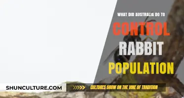 Australia's War on Rabbits: Strategies and Successes