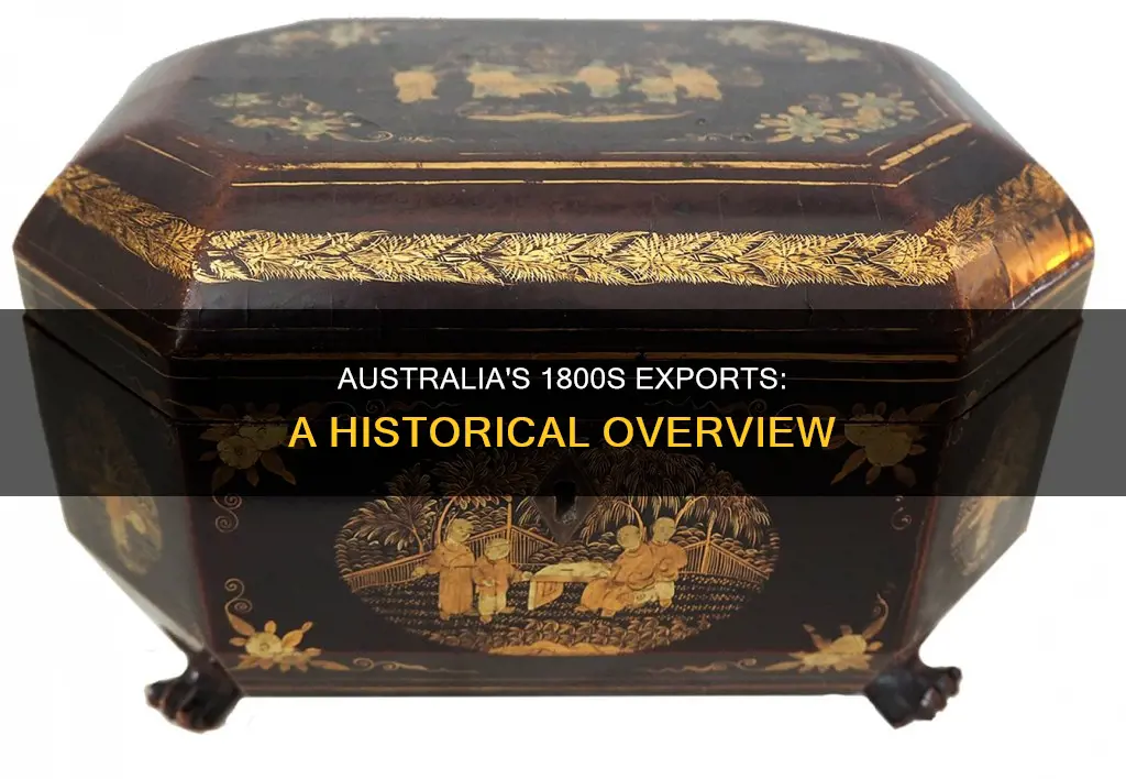 what did australia export to other countries in the 1800s