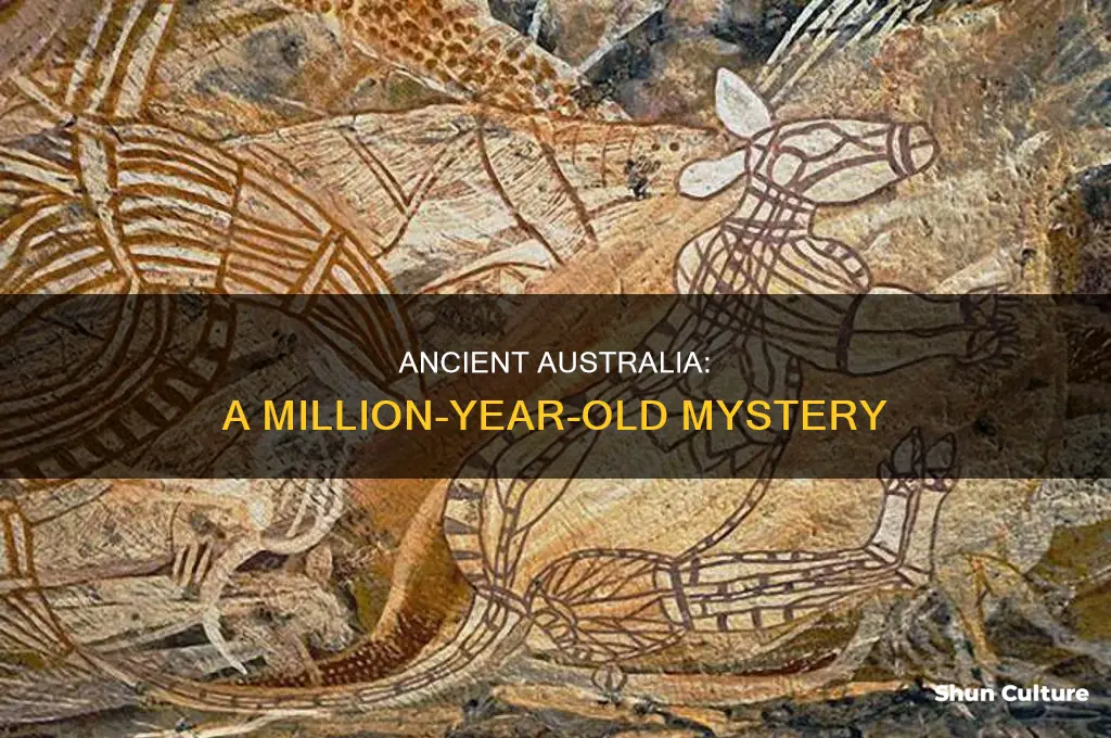 what did australia look like 1 million years ago
