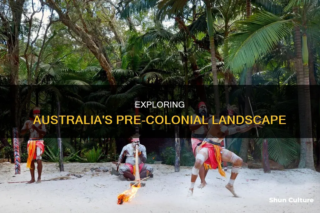 what did australia look like before colonisation