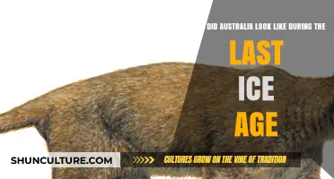 Australia's Ice Age: A Land Frozen Over