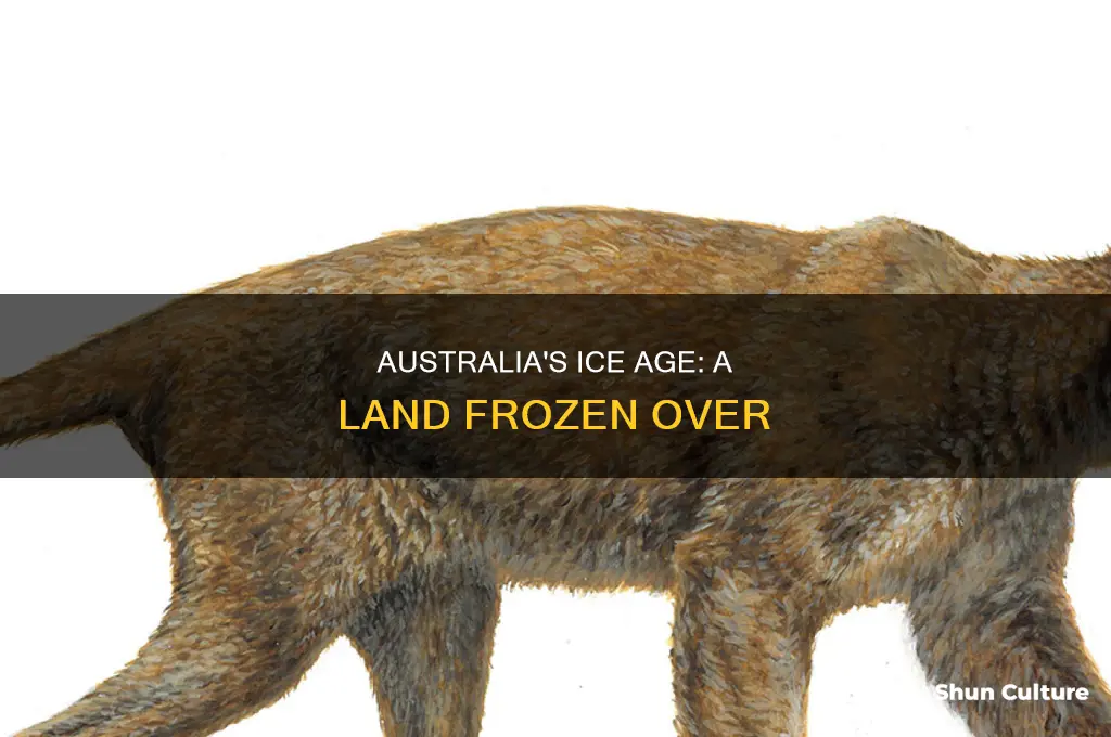 what did australia look like during the last ice age