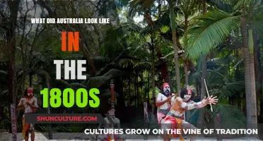 Exploring Australia's Unique Landscape in the 19th Century