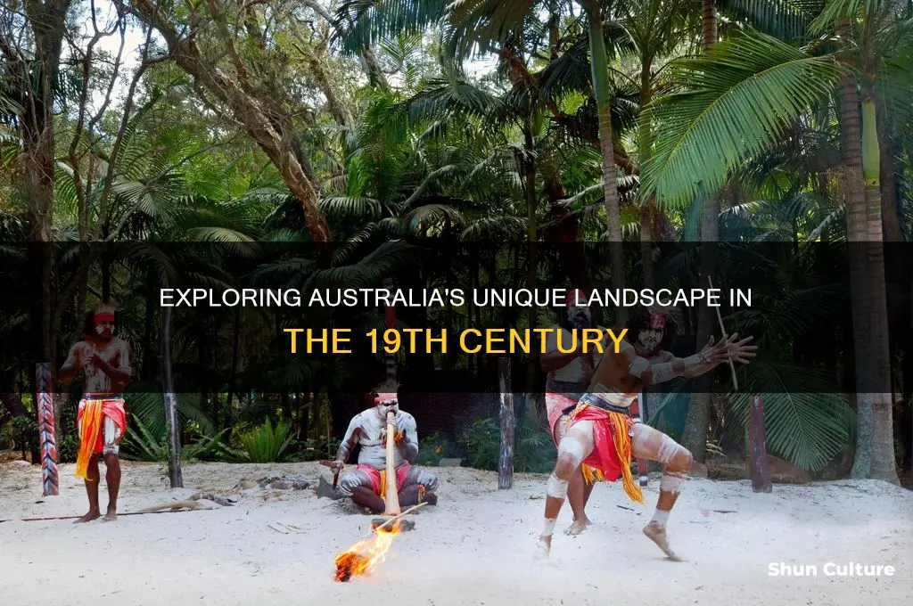 what did australia look like in the 1800s