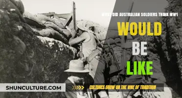 Australian Soldiers: Their Expectations of World War I