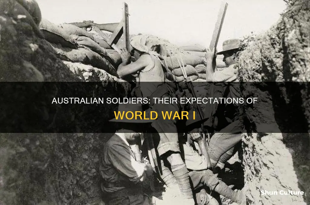 what did australian soldiers think ww1 would be like
