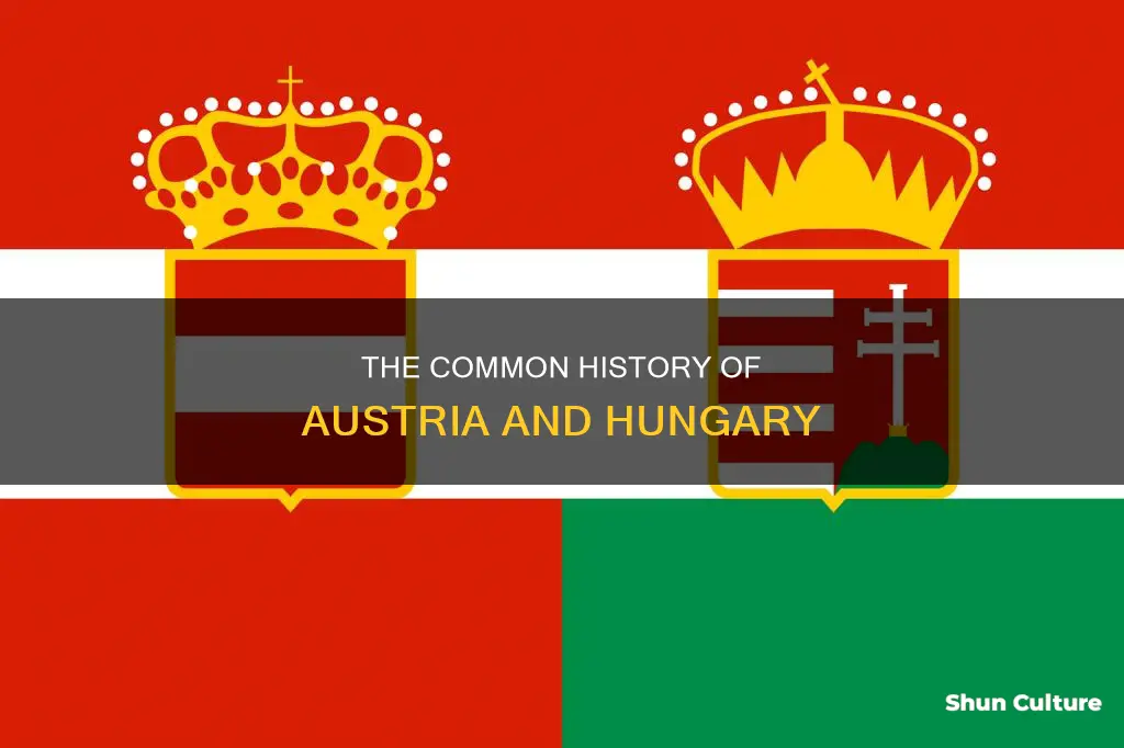 what did austria and hungary share