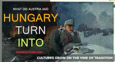 The Evolution of Austria-Hungary: A Historical Transformation