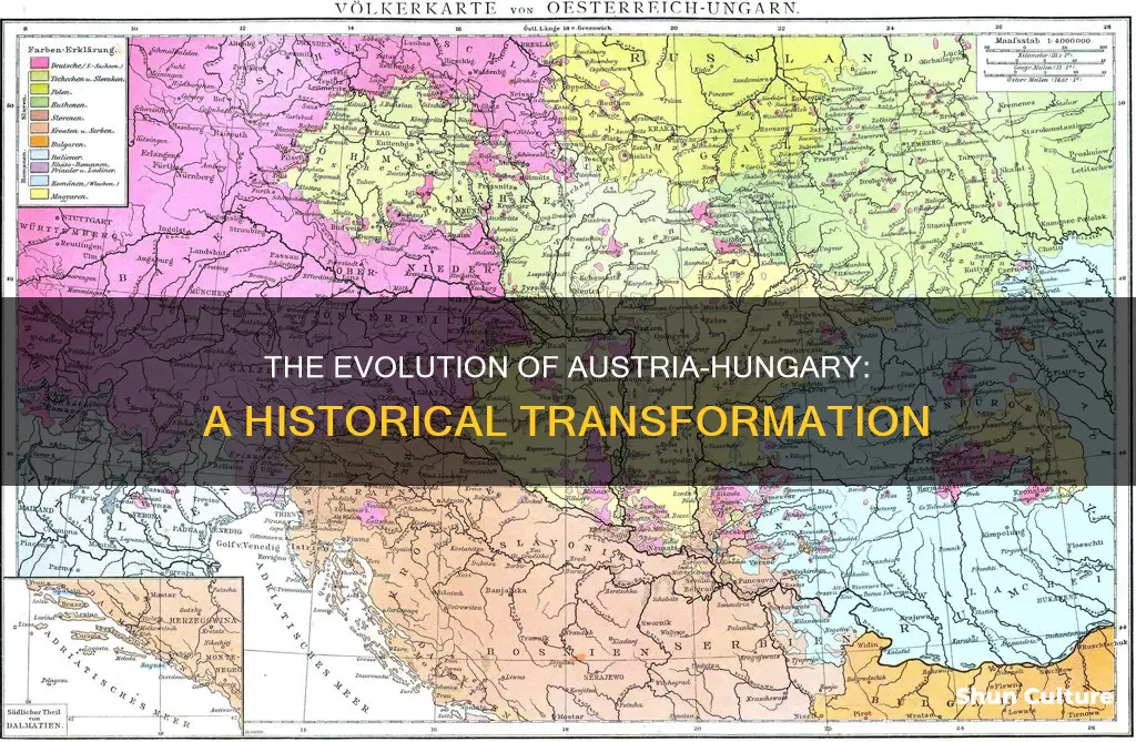 what did austria and hungary turn into