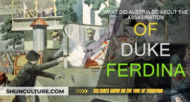 Austria's Response to Duke Ferdinand's Assassination