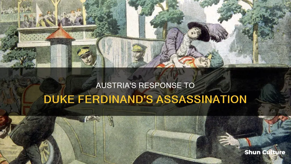 what did austria do about the assasination of duke ferdinand