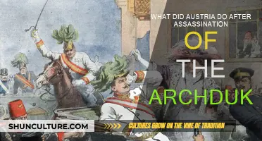 Austria's Response to the Archduke's Assassination