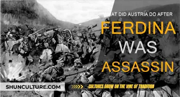 Austria's Response to Ferdinand's Assassination