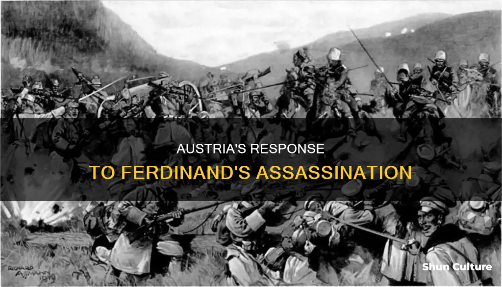 what did austria do after ferdinand was assassinated