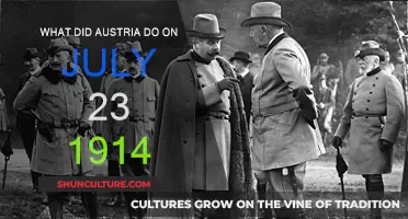 Austria's Fateful Decision: July 23, 1914