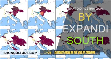 Austria's Southern Expansion: Benefits and Strategic Advantages