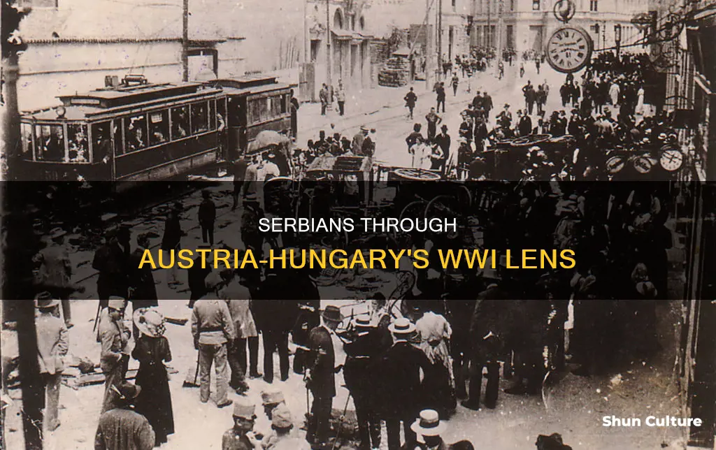 what did austria-huingary think about serbia during the wwi