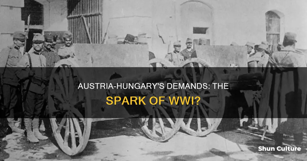 what did austria hungary ask in ww1