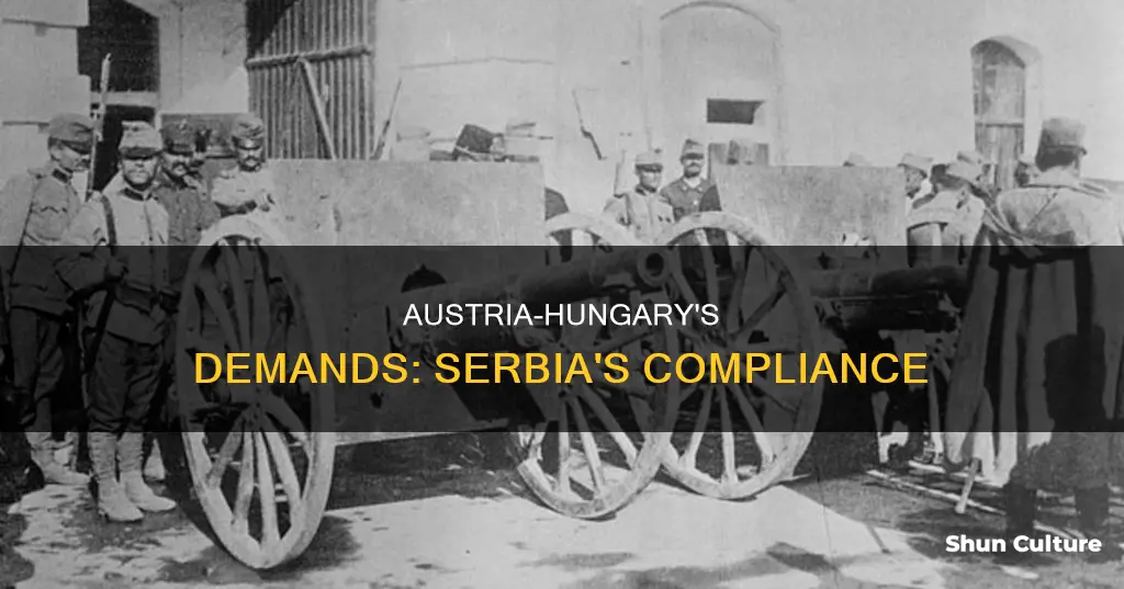 what did austria hungary ask serbia to do