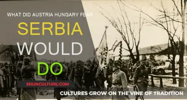 Austria-Hungary's Fear: Serbia's Growing Influence and Power