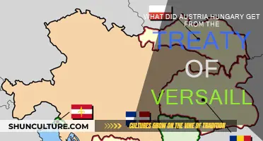 Austria-Hungary's Treaty of Versailles Gains