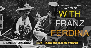 Franz Ferdinand: Austria-Hungary's Fateful Legacy